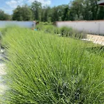 Gostinjska kuća Kamena Kuca Sa Privatnim Bazenom Lovrecica (Istria)