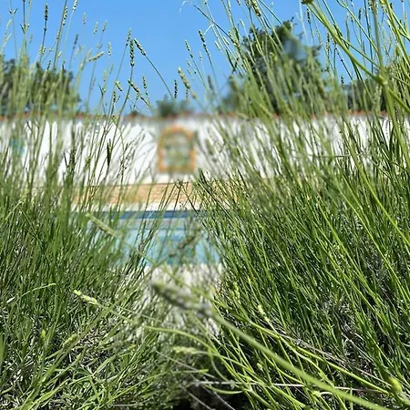Istrian House With Private Pool *